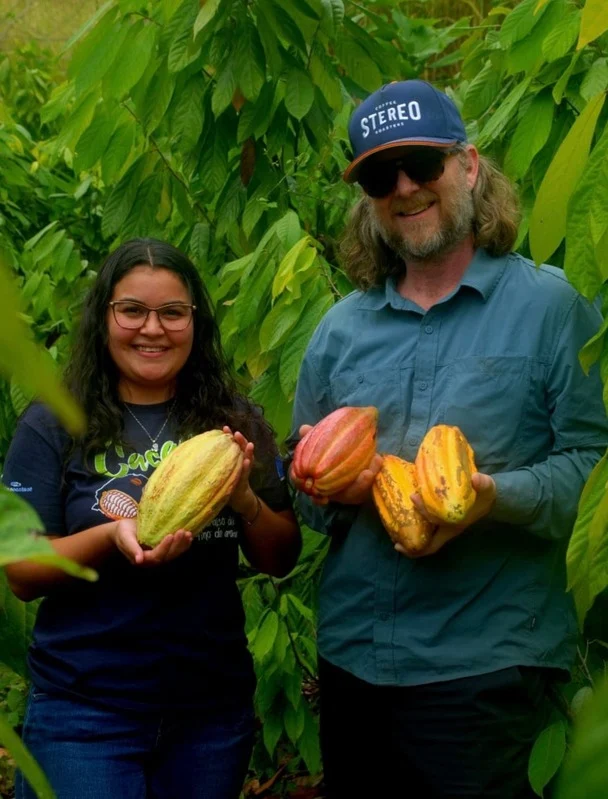 Fresh cacao pods held at origin